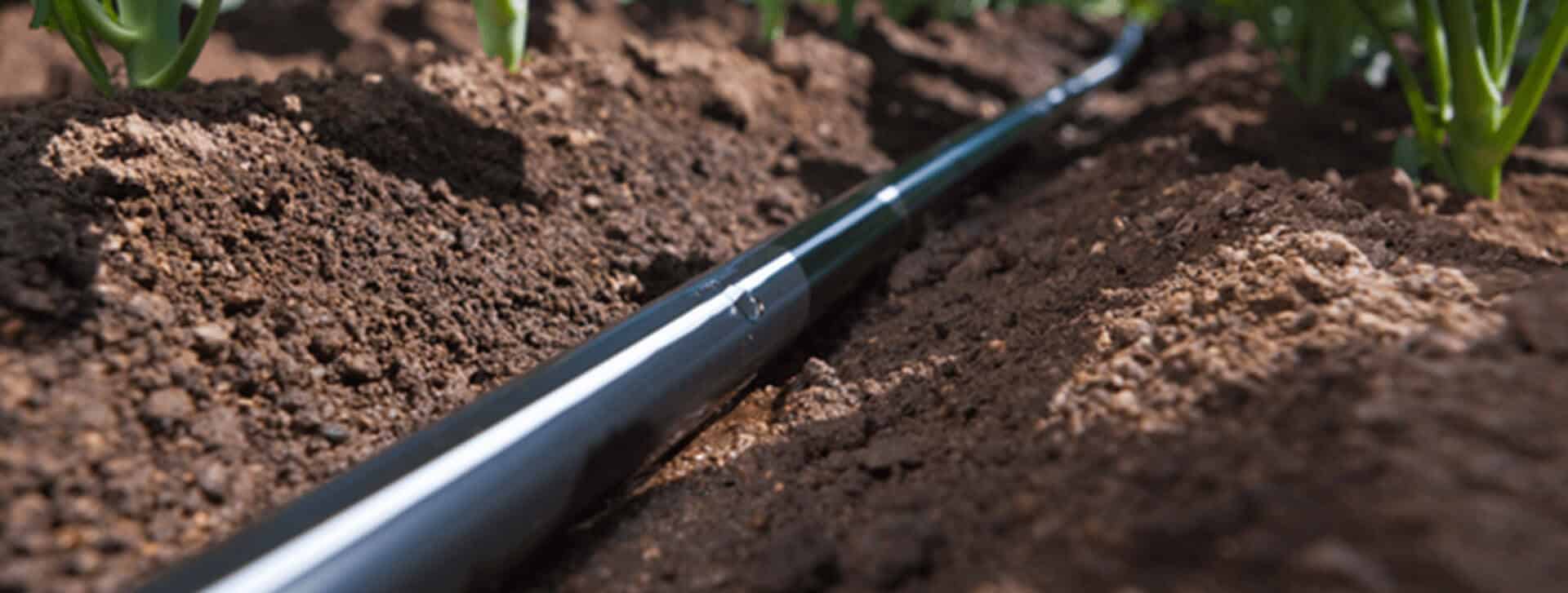 D5000 PC/AS/ND Капельная линия